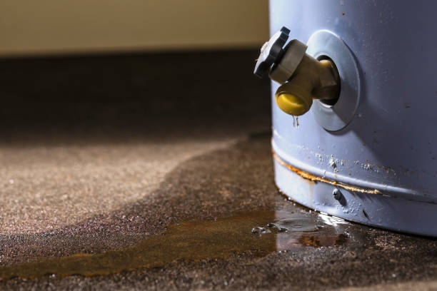 Best Plumbing Leak and Burst Pipe Cleanup in Cherry Valley, CA